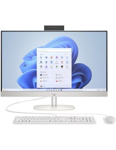 PC HP AIO 24-cr1009nl
