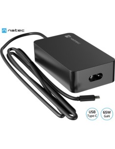 USB polnilec Natec Grayling, 20W, črn