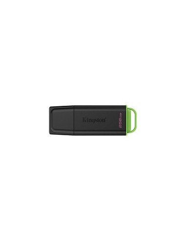 USB disk 256GB Kingston DataTraveler Exodia (DTXG2/256GB)