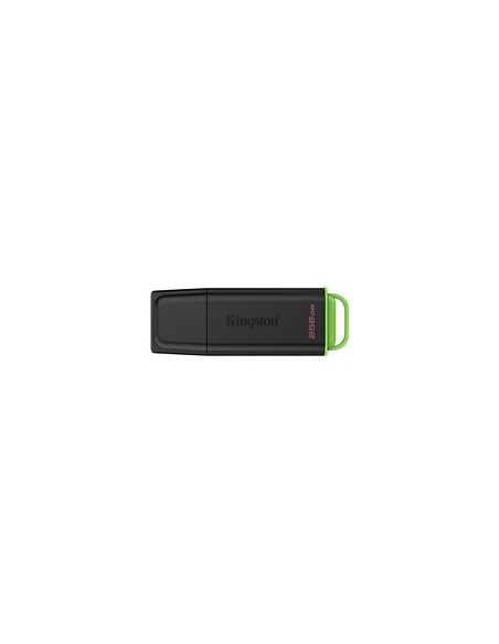 USB disk 256GB Kingston DataTraveler Exodia (DTXG2/256GB)