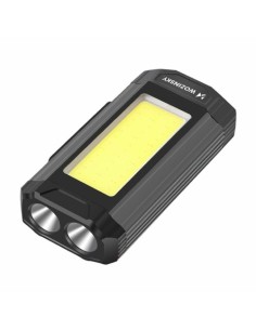 LED svetilka Wozinsky WLR-15W