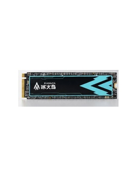 SSD KANAGA 512GB PCIe3.0 M.2 2280 (G3100)